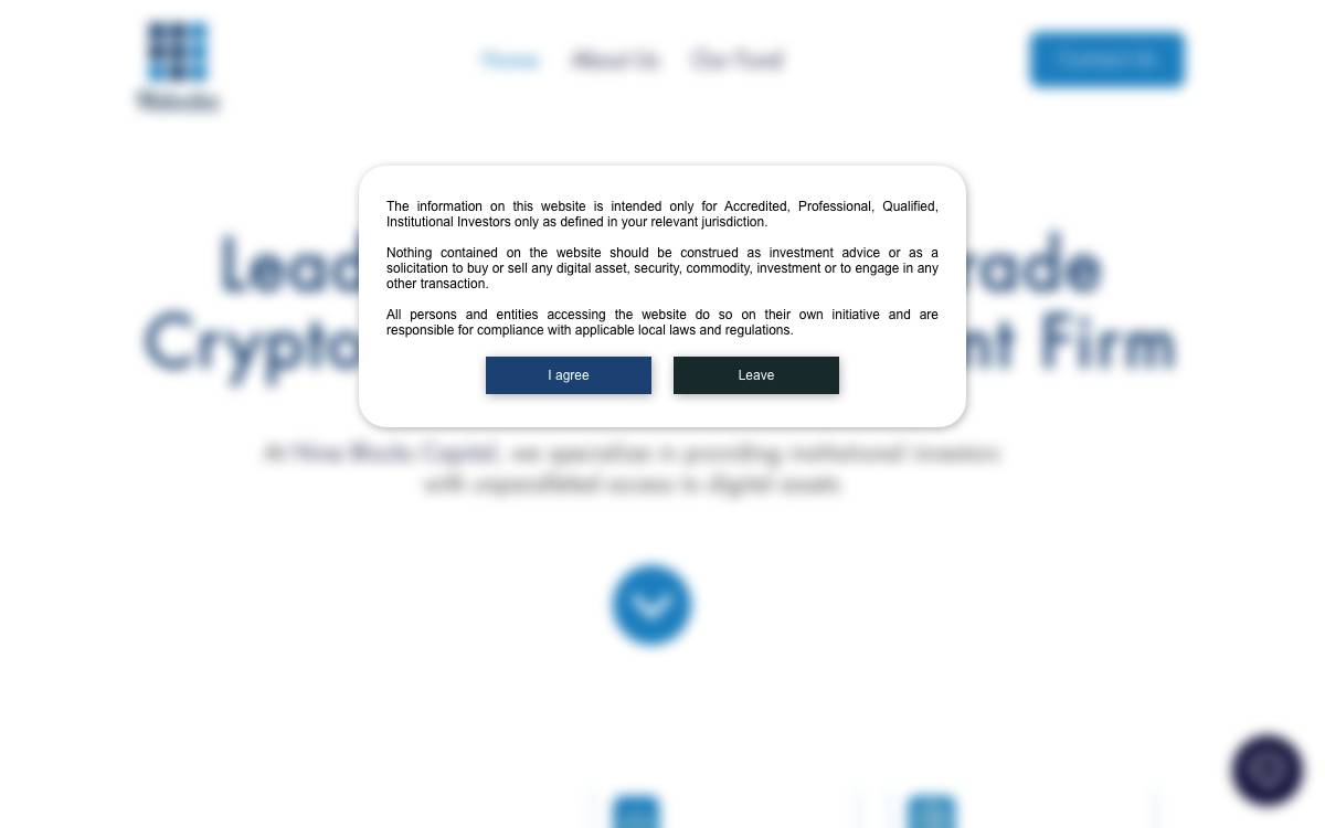 Nine Blocks Capital Management website preview