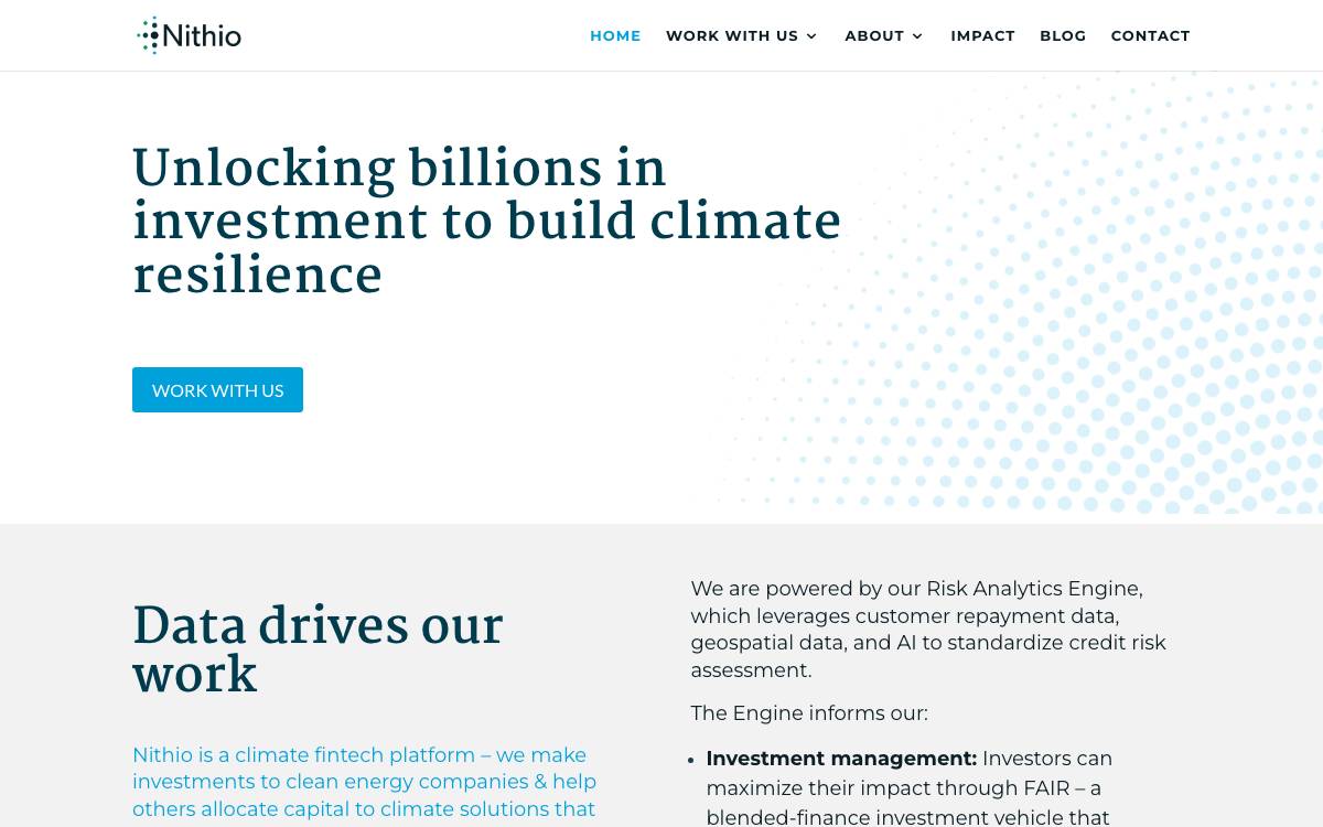 Nithio website preview