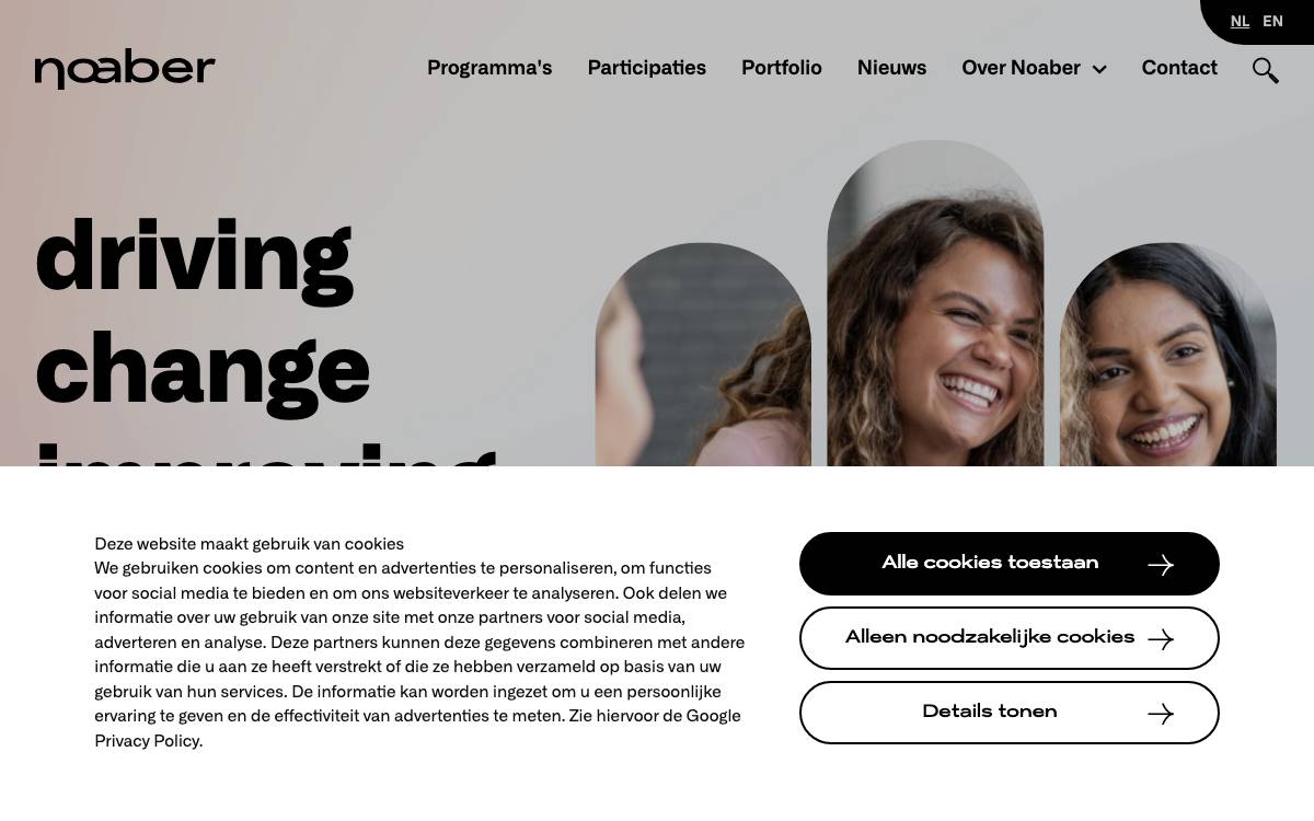 Noaber website preview