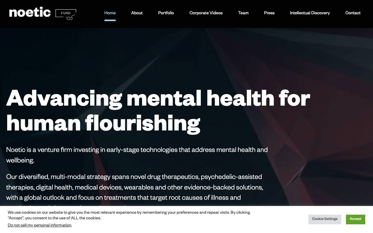 Noetic website preview