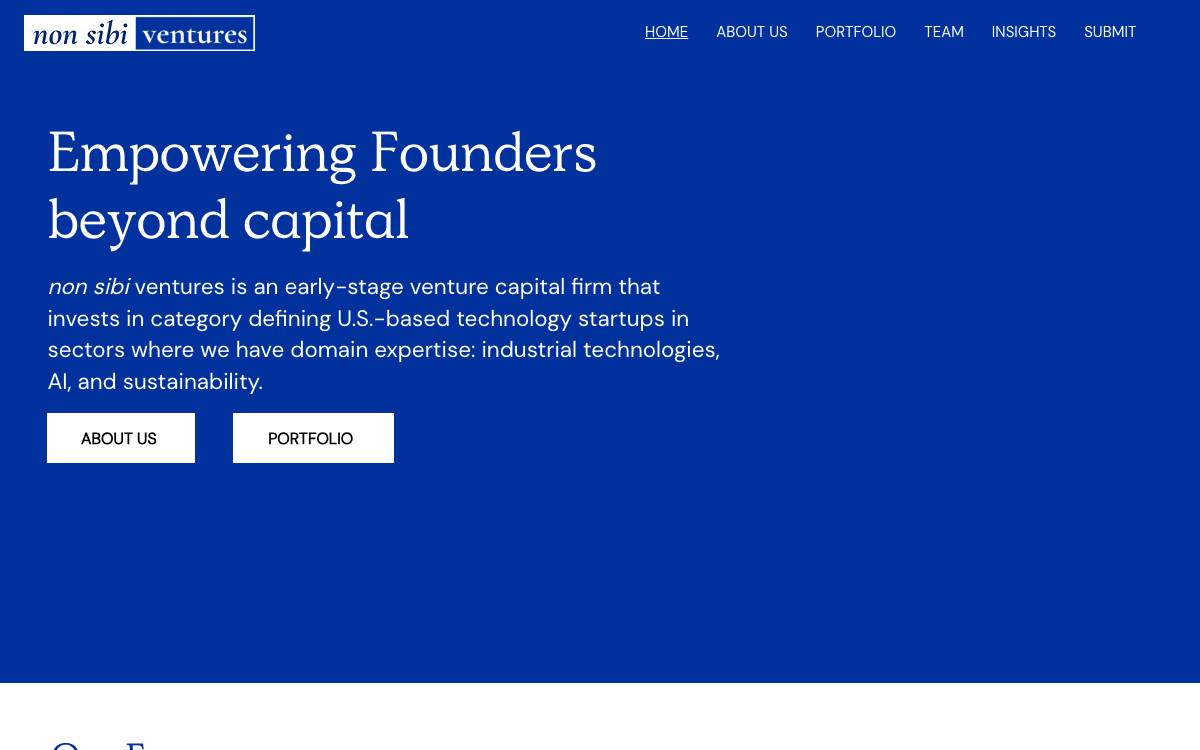Non Sibi Ventures website preview