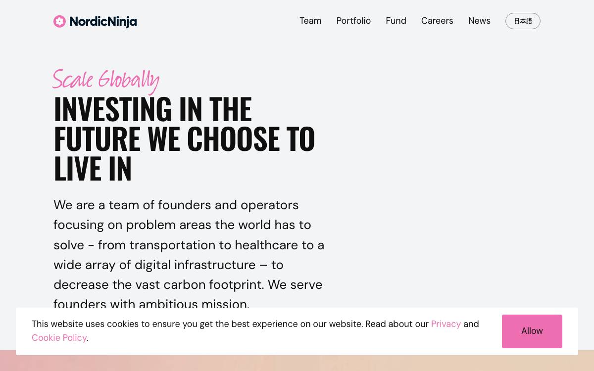 NordicNinjaVC website preview