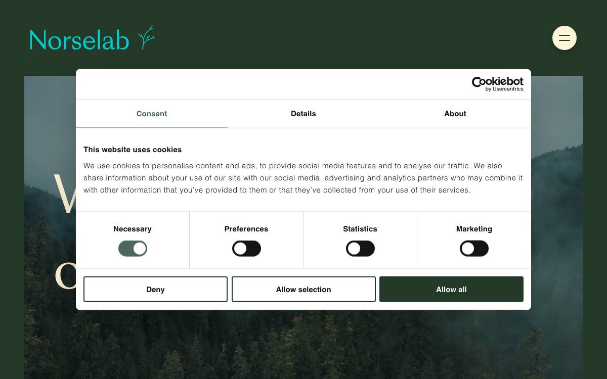 Norselab website preview