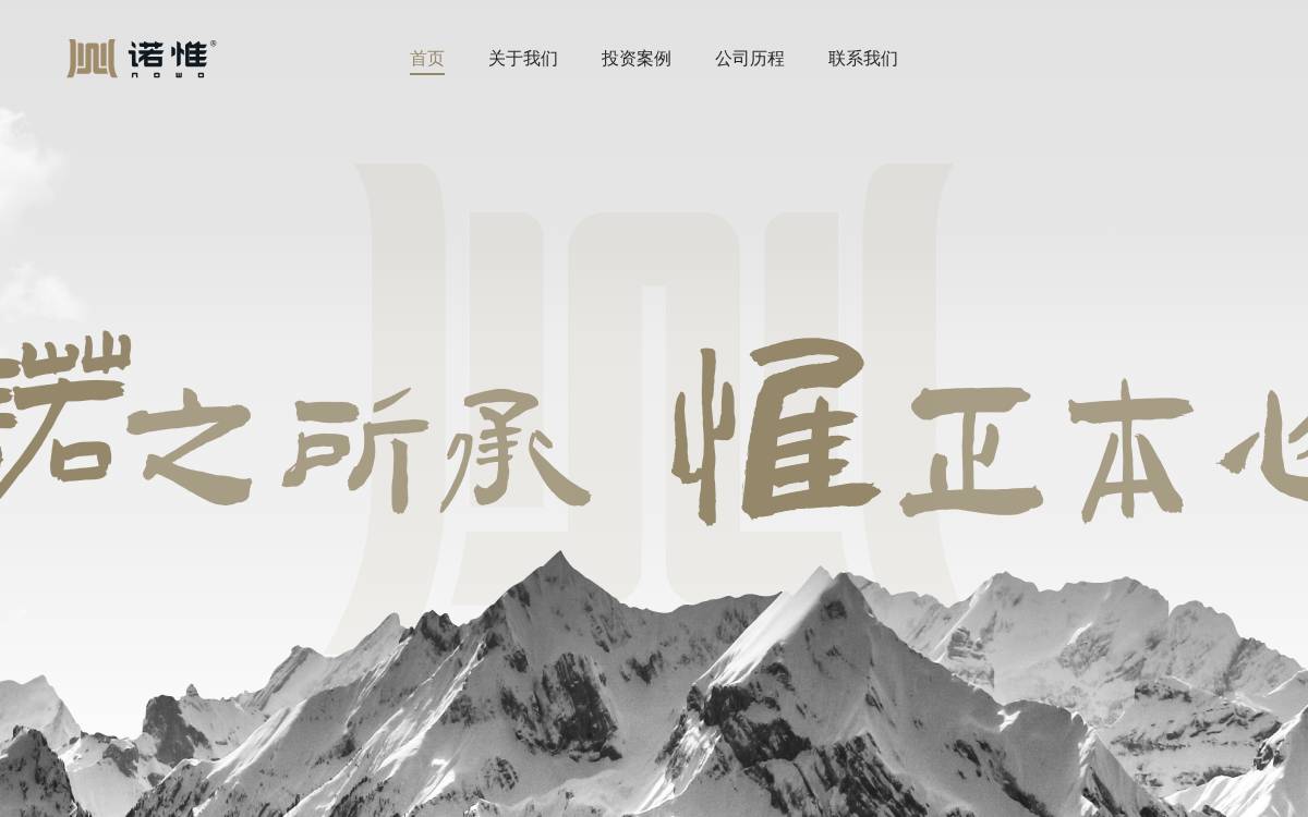NOWO website preview