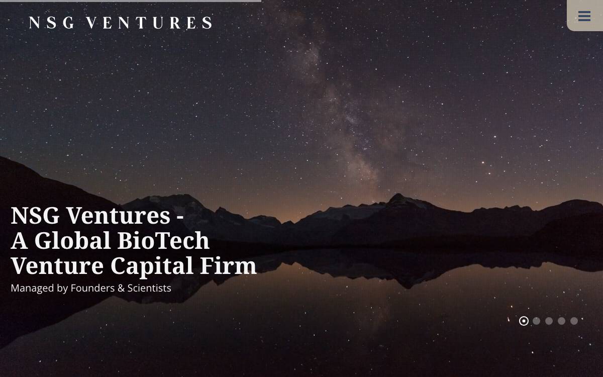NSG Ventures website preview