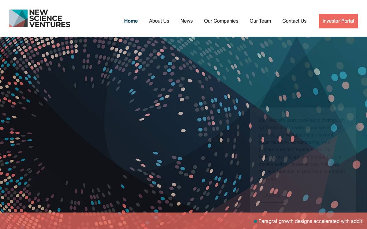 NSV website preview