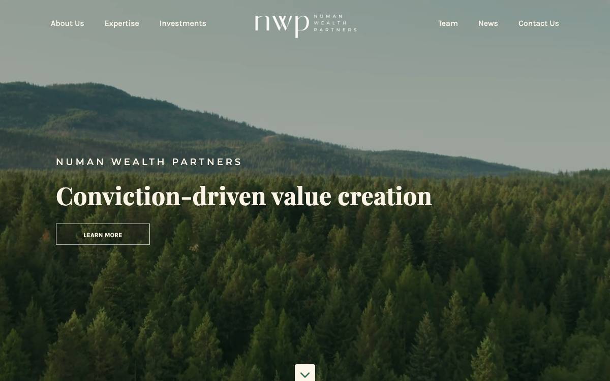 Numan Wealth Partners website preview