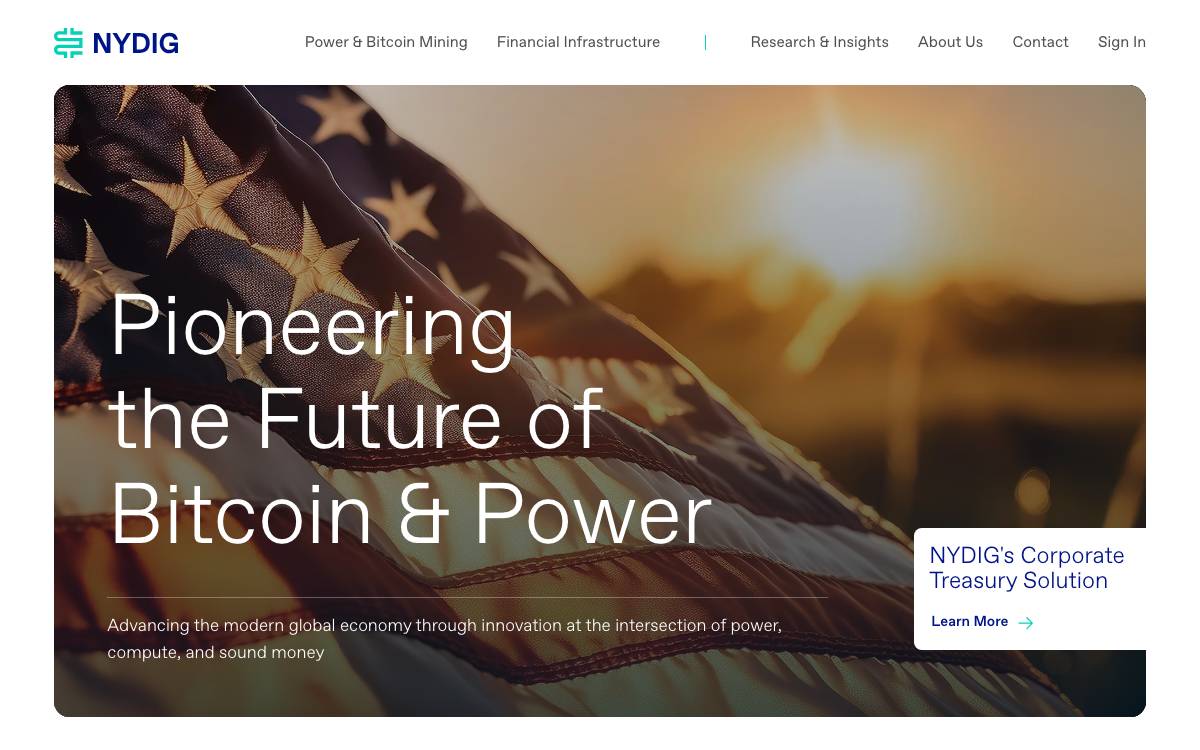 NYDIG website preview