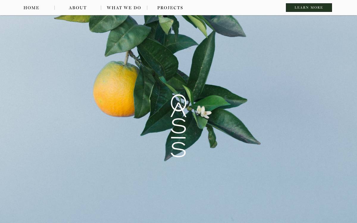 Oasis website preview
