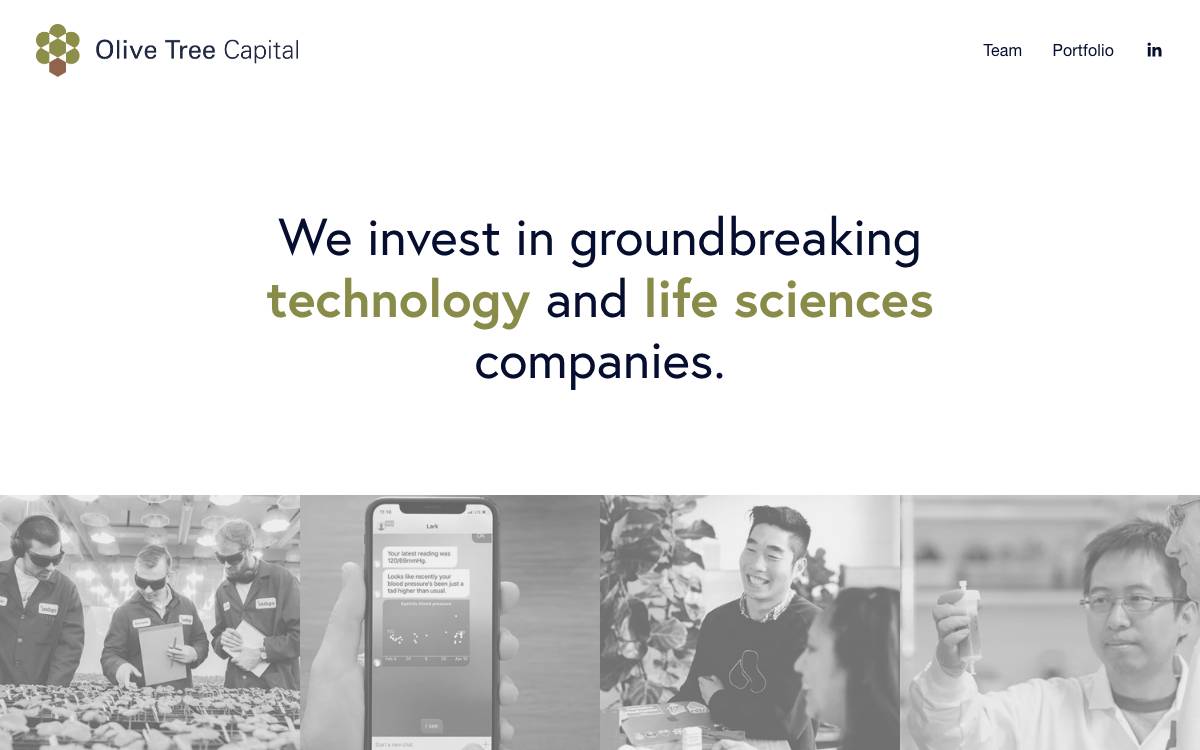 Olive Tree Capital website preview