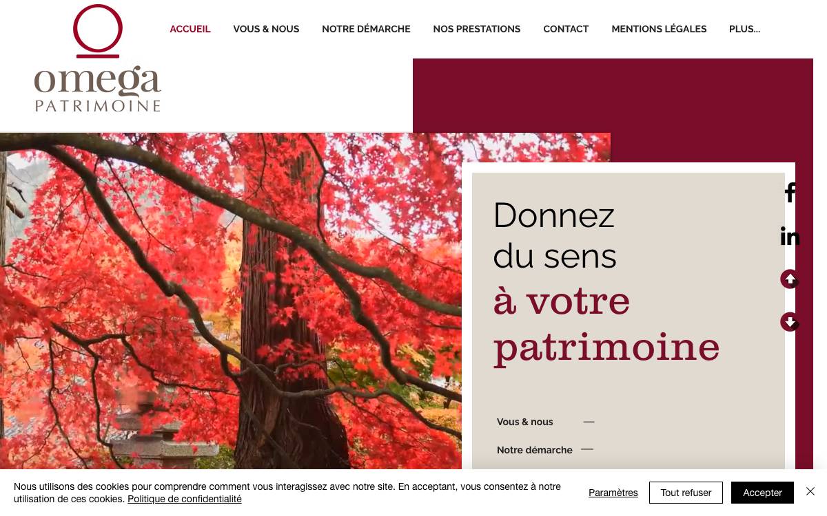 Omega Patrimoine website preview