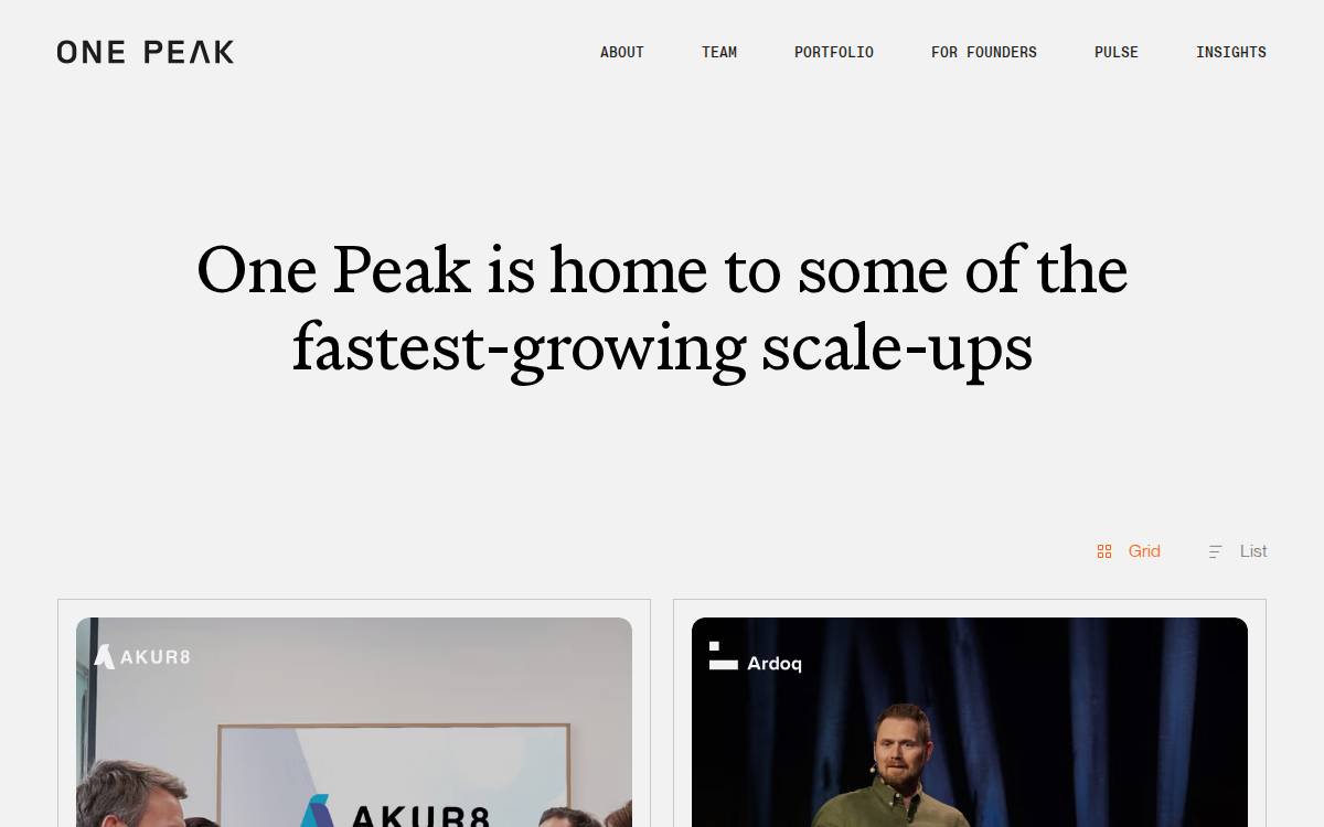One Peak website preview