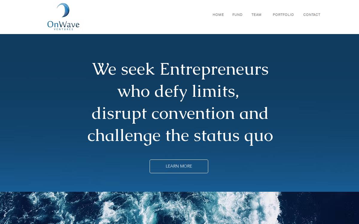 Onwave ventures website preview