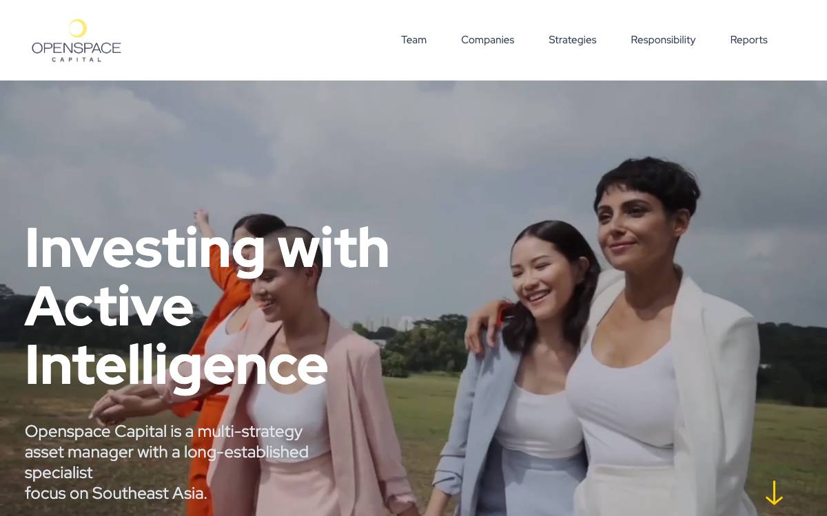 Openspace Ventures website preview