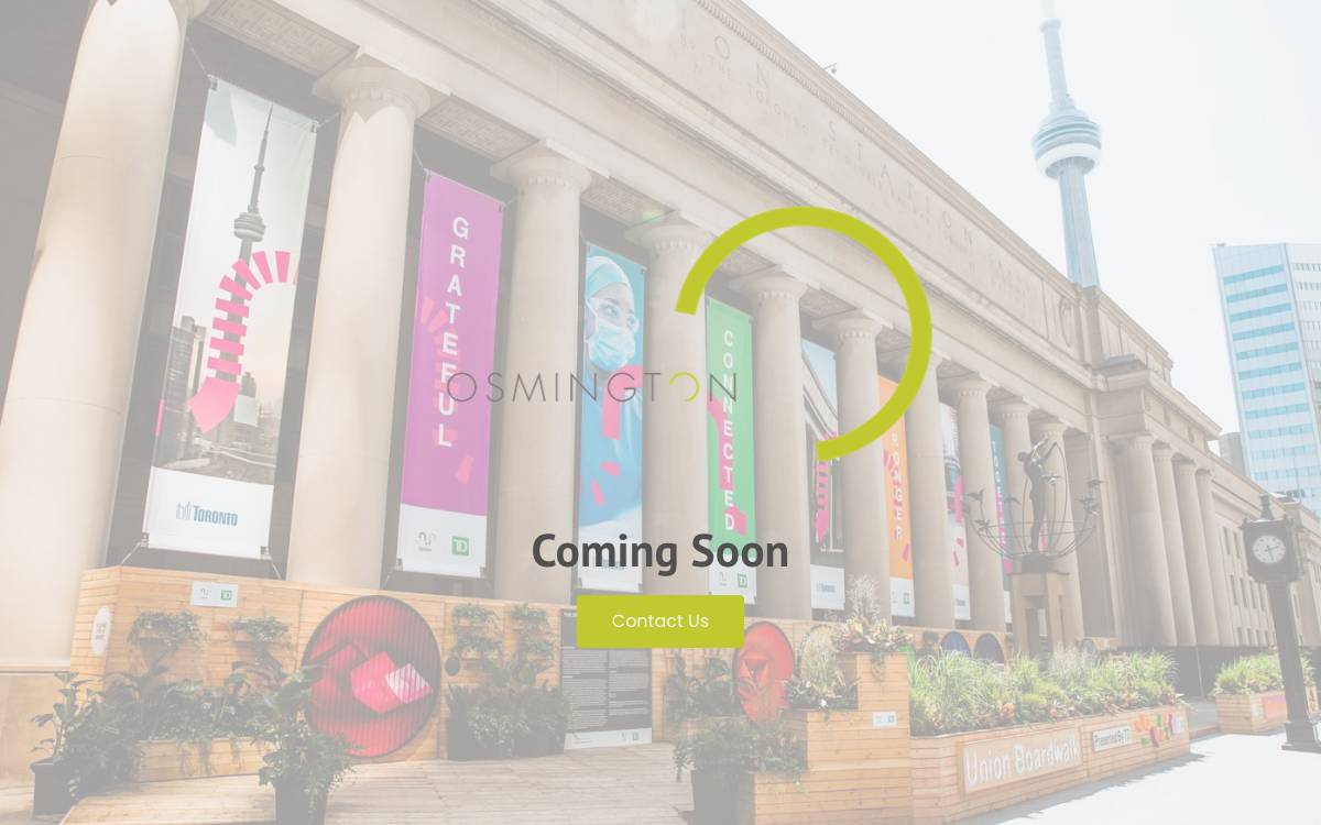 Osmington website preview