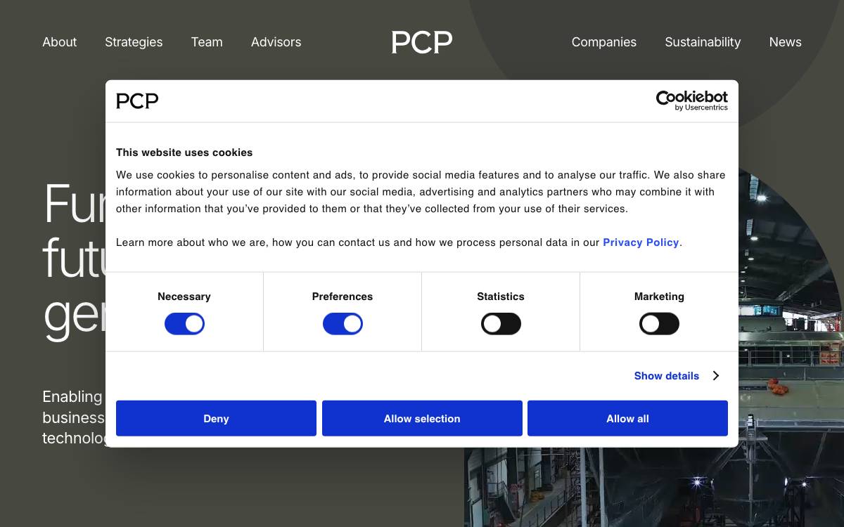 P Capital Partners website preview