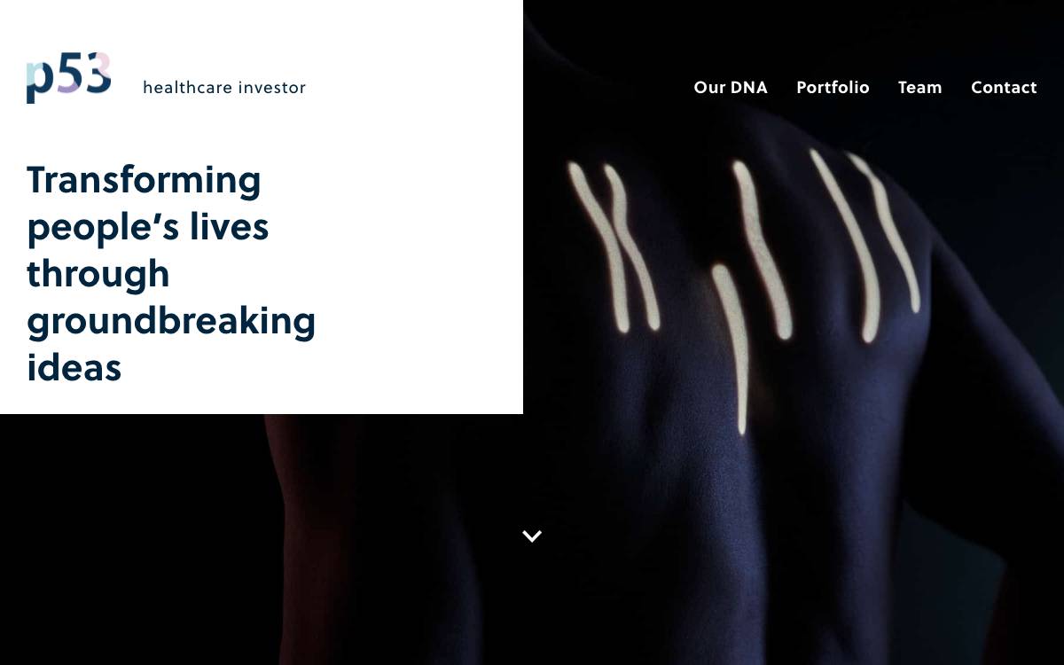 P53 Invest website preview