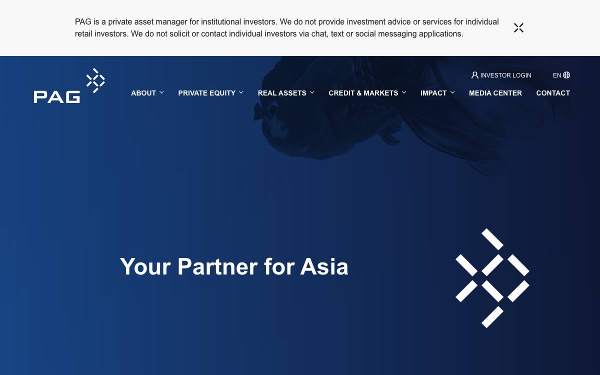 PAG Japan website preview