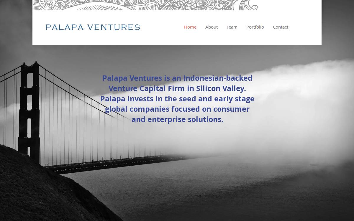 Palapa Ventures website preview