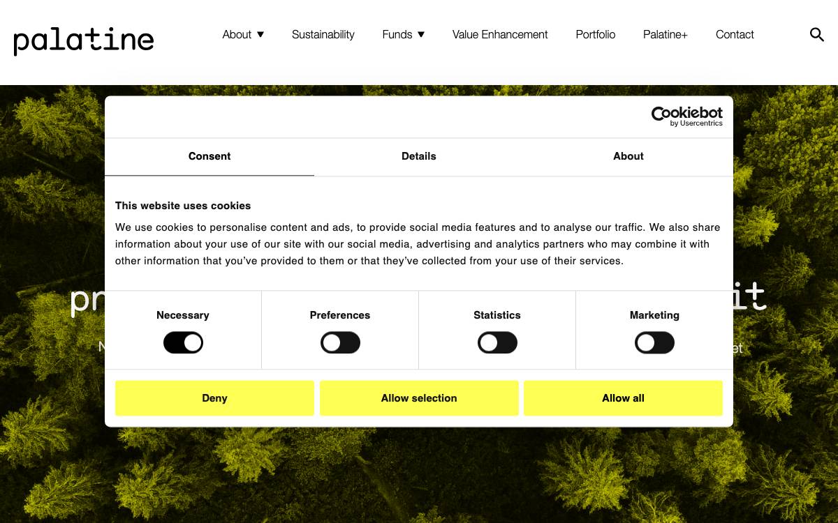 Palatine website preview