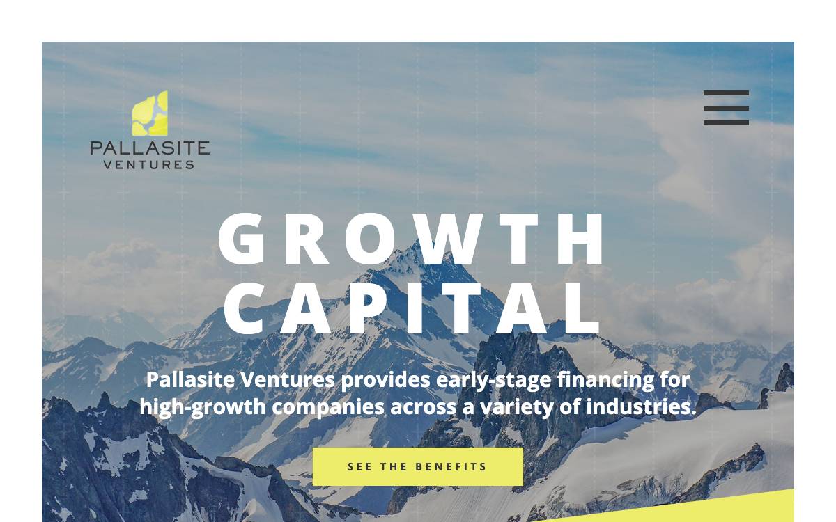 Pallasite Ventures website preview