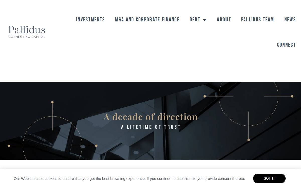 Pallidus website preview