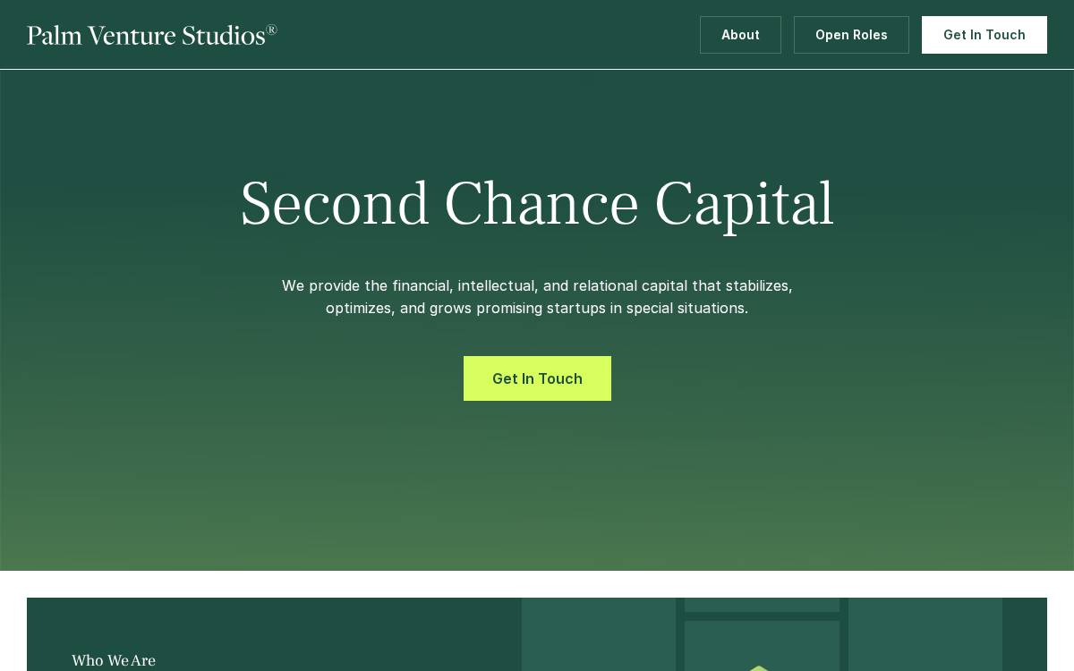 Palm Venture Studios website preview