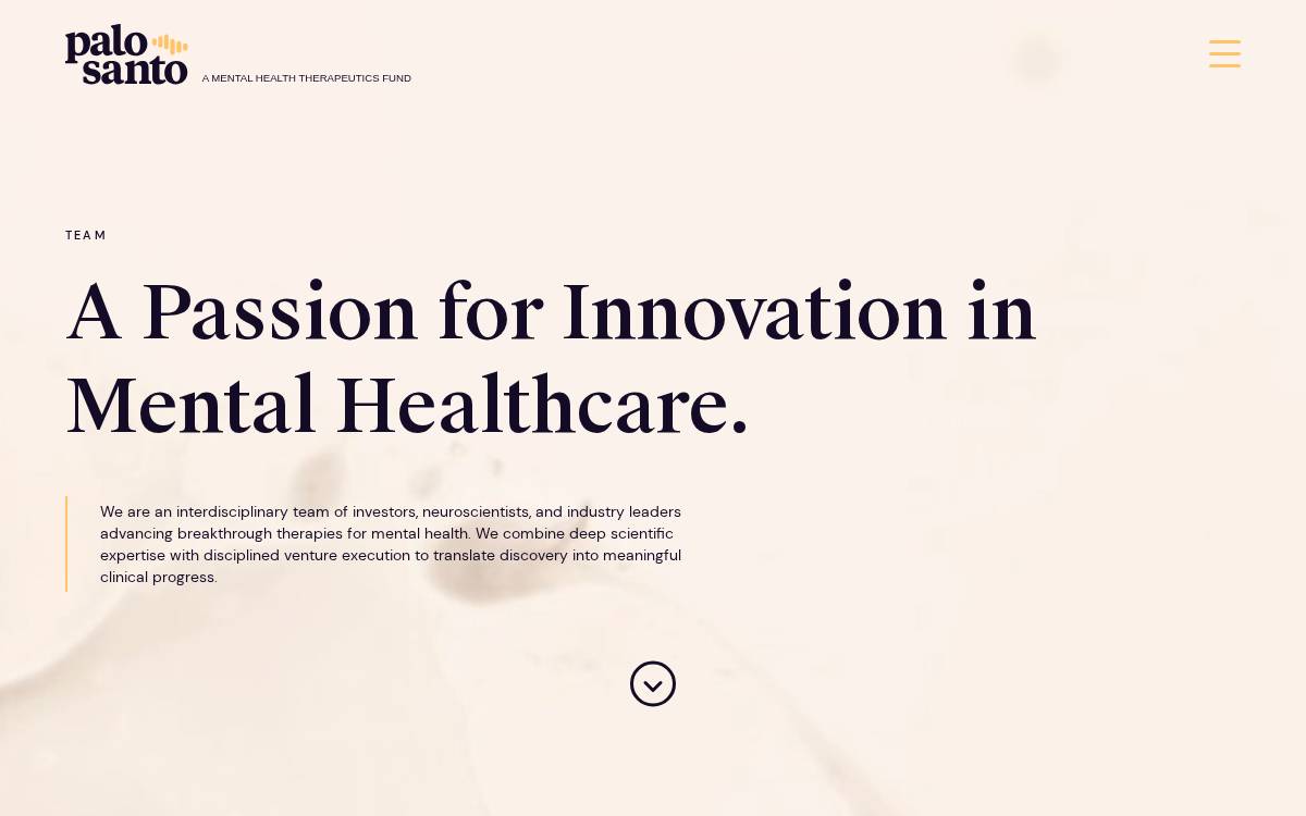 Palo Santo VC website preview