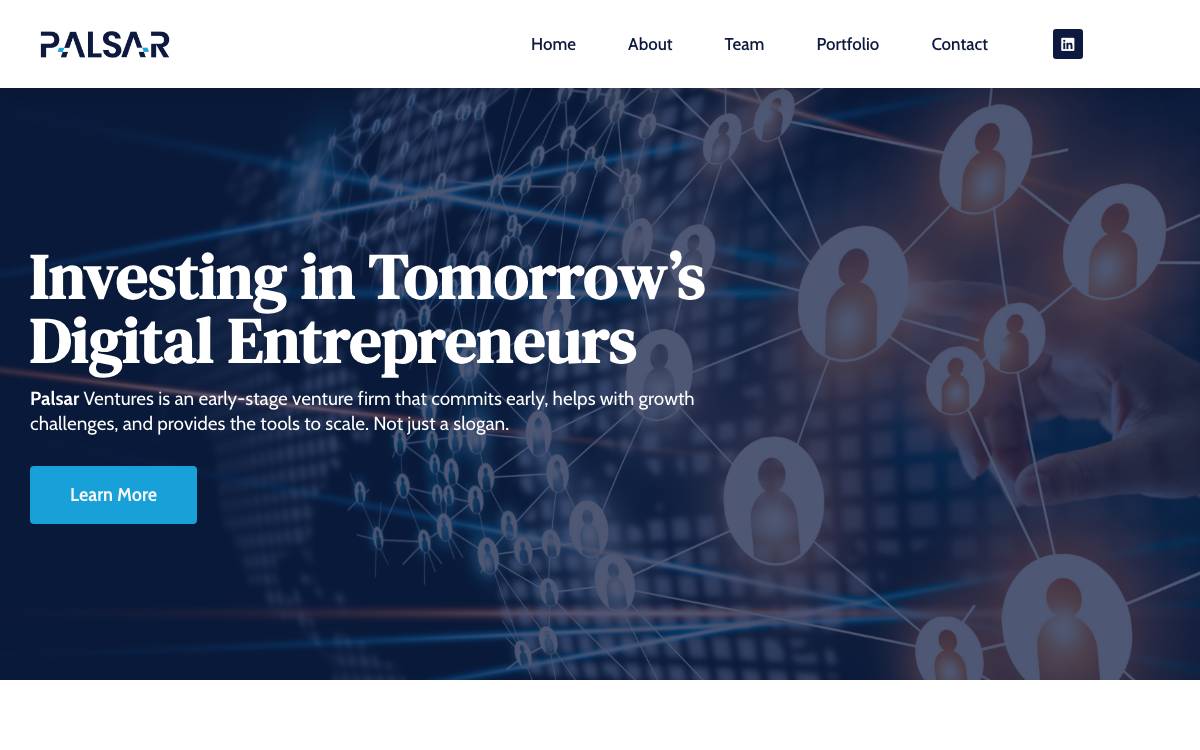 Palsar Ventures website preview
