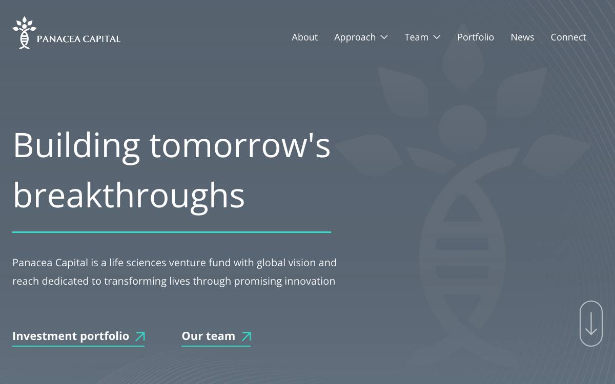 Panacea Venture website preview