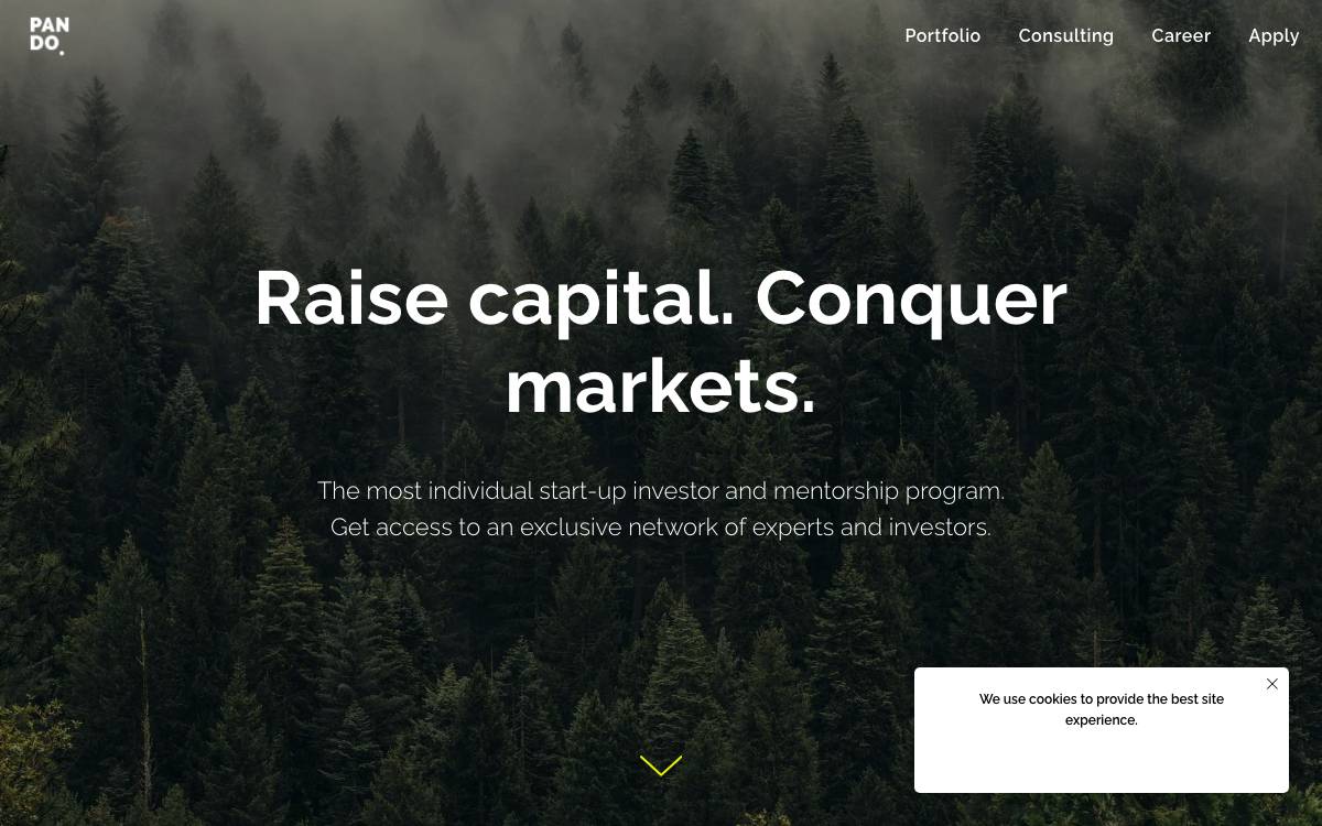 Pando Ventures website preview