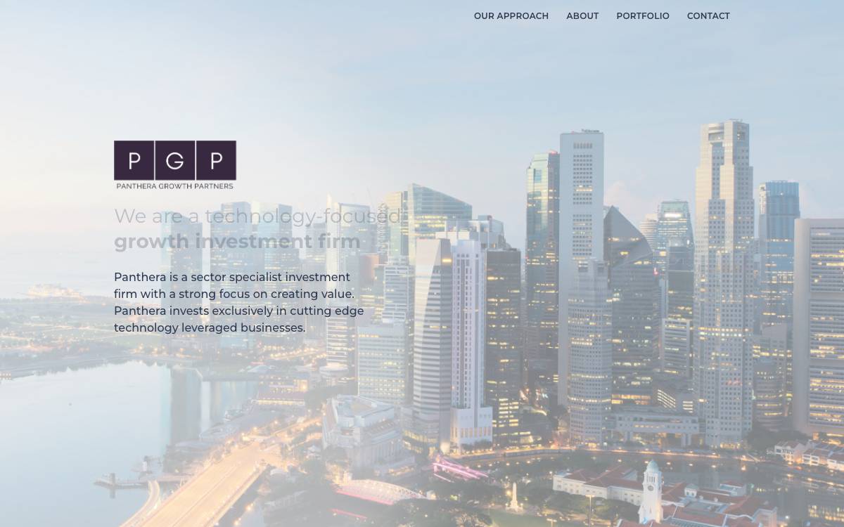 Panthera Growth Partners website preview