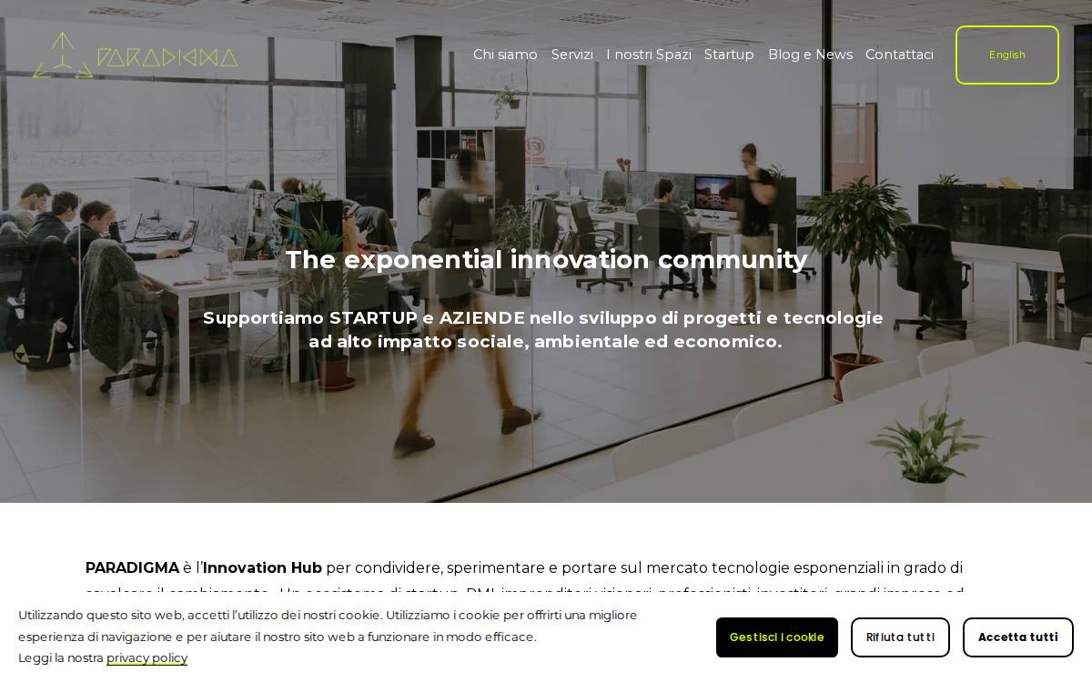 Paradigma website preview