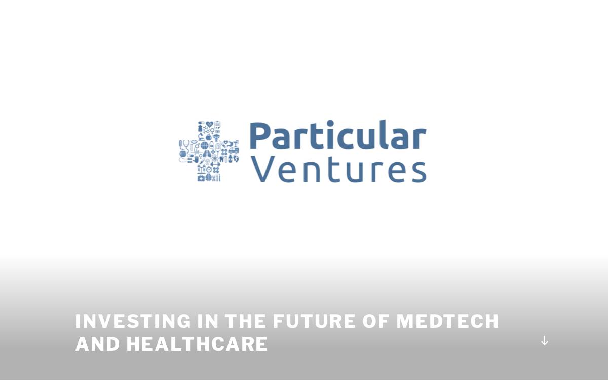 Particular Ventures website preview
