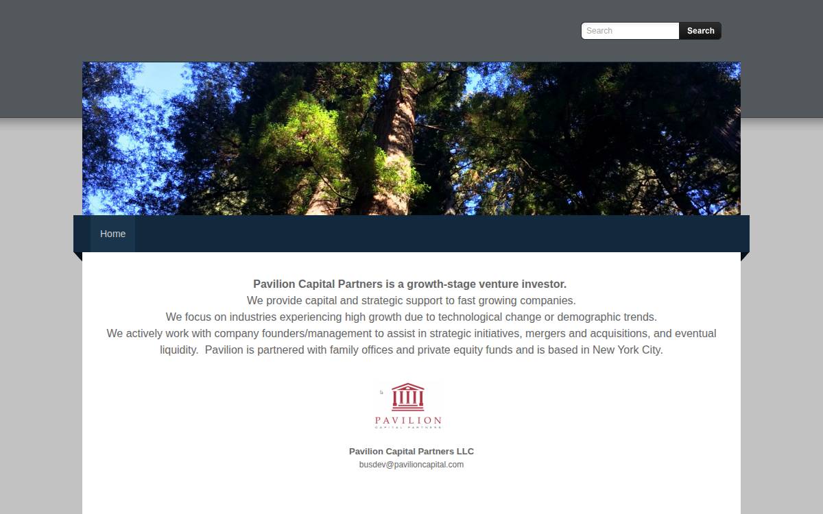 Pavilion Capital website preview