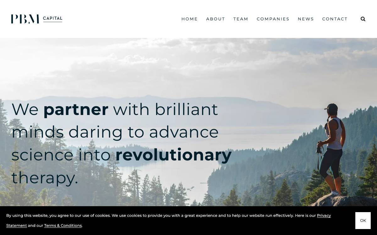 PBM Capital website preview