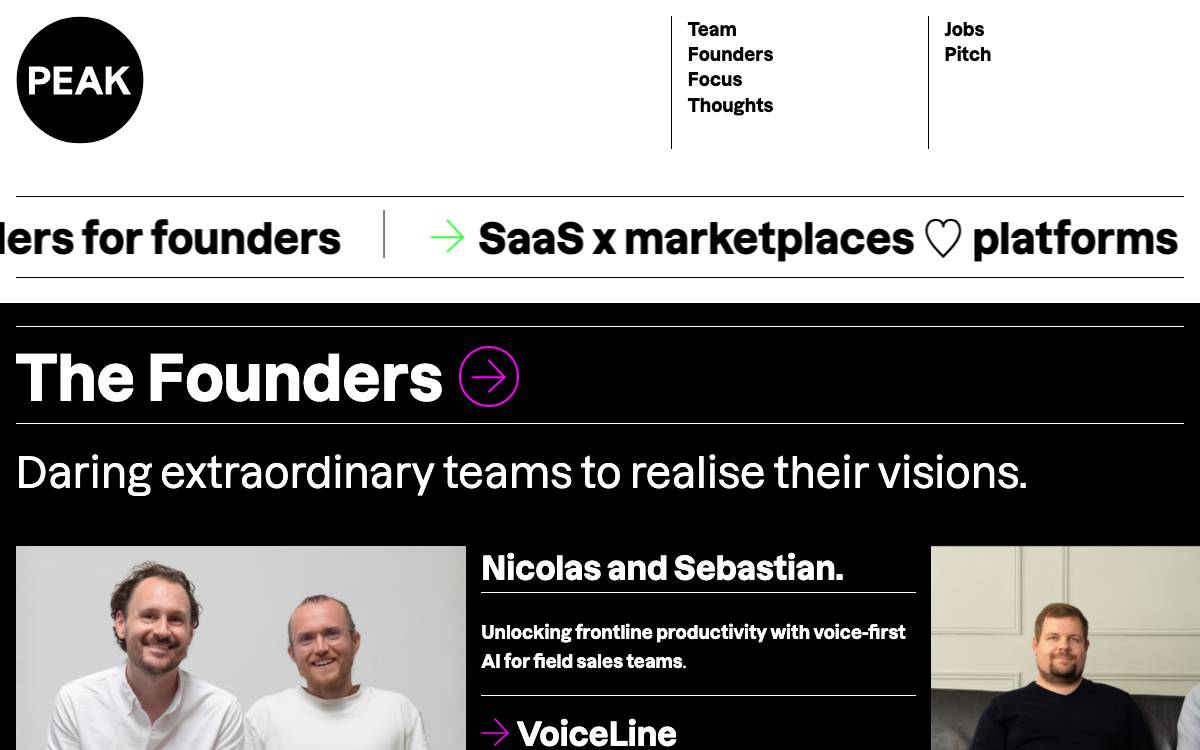 Peak website preview