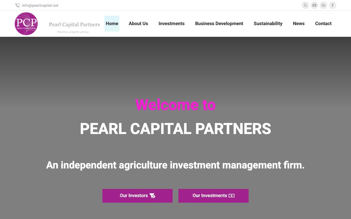Pearl Capital Partners website preview