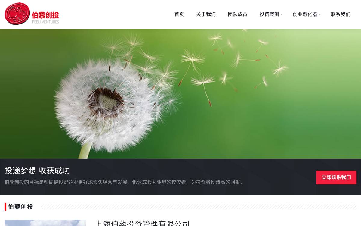 Peeli Ventures website preview
