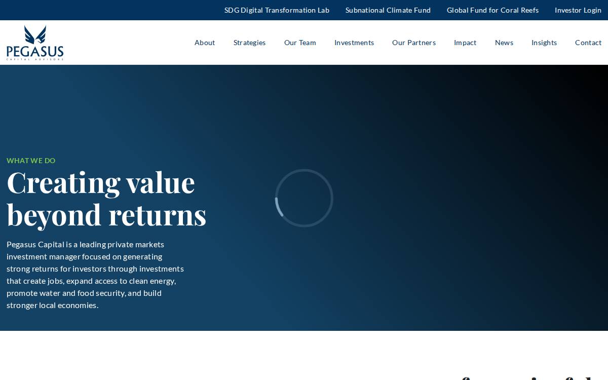 PEGASUS CAPITAL website preview