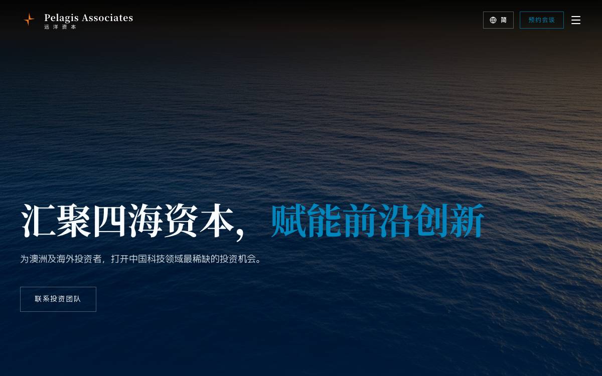Pelagis Associates website preview
