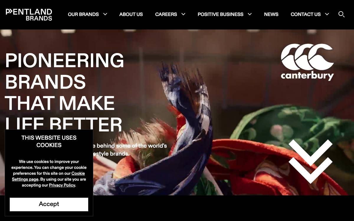 Pentland Brands website preview