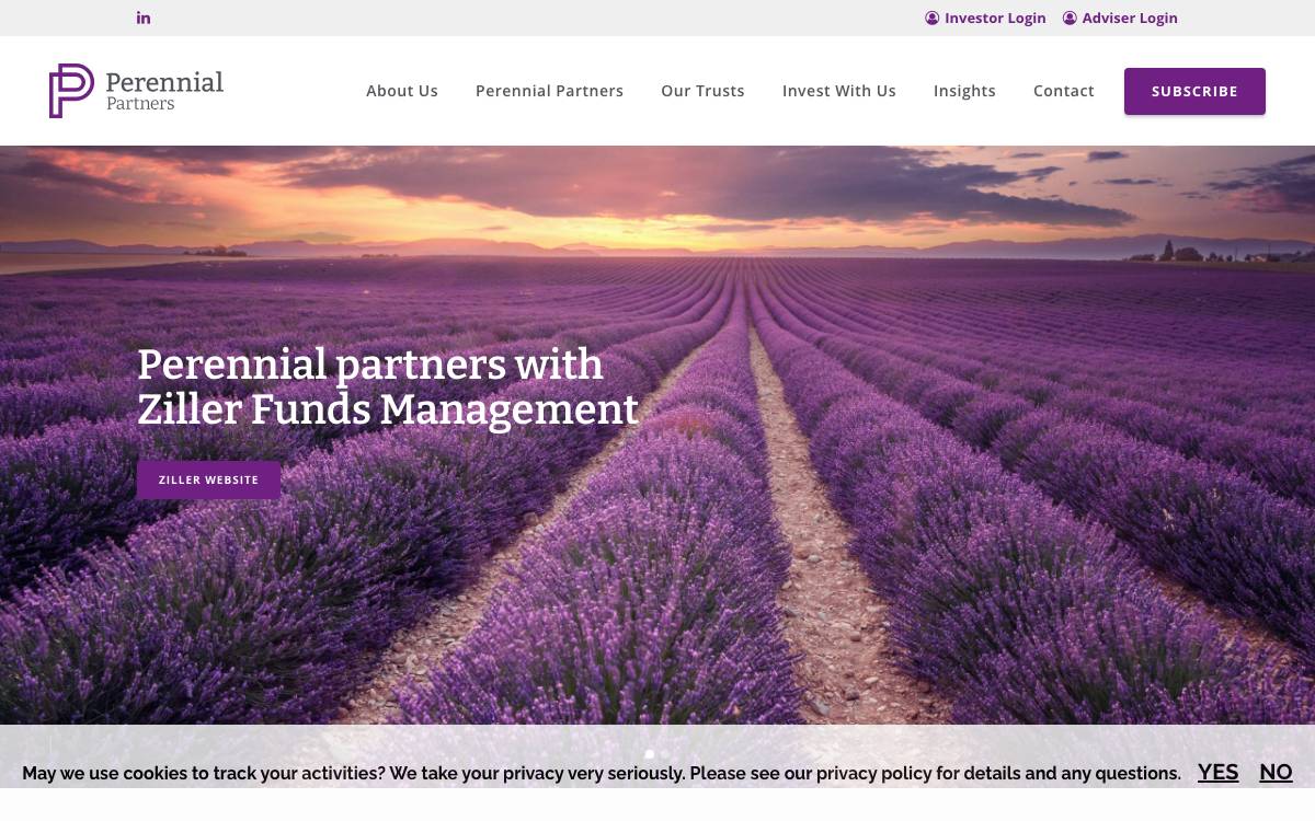 Perennial Partners website preview