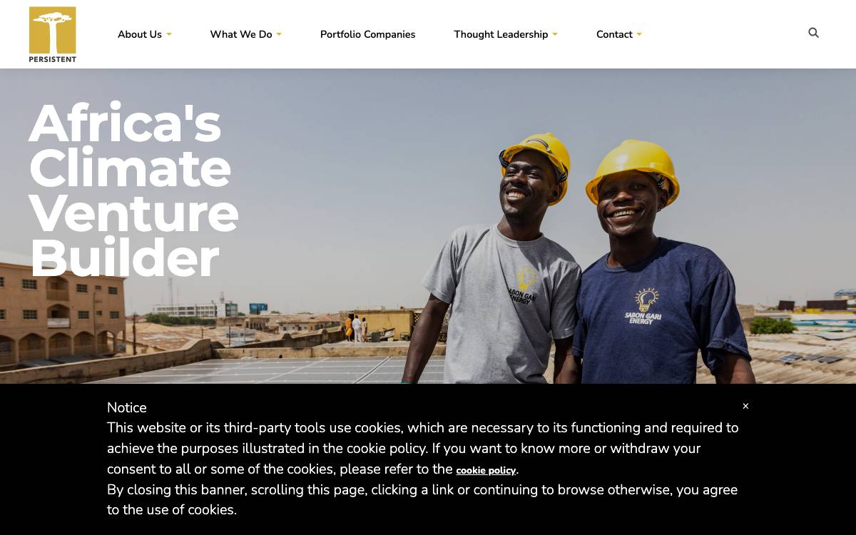 Persistent website preview