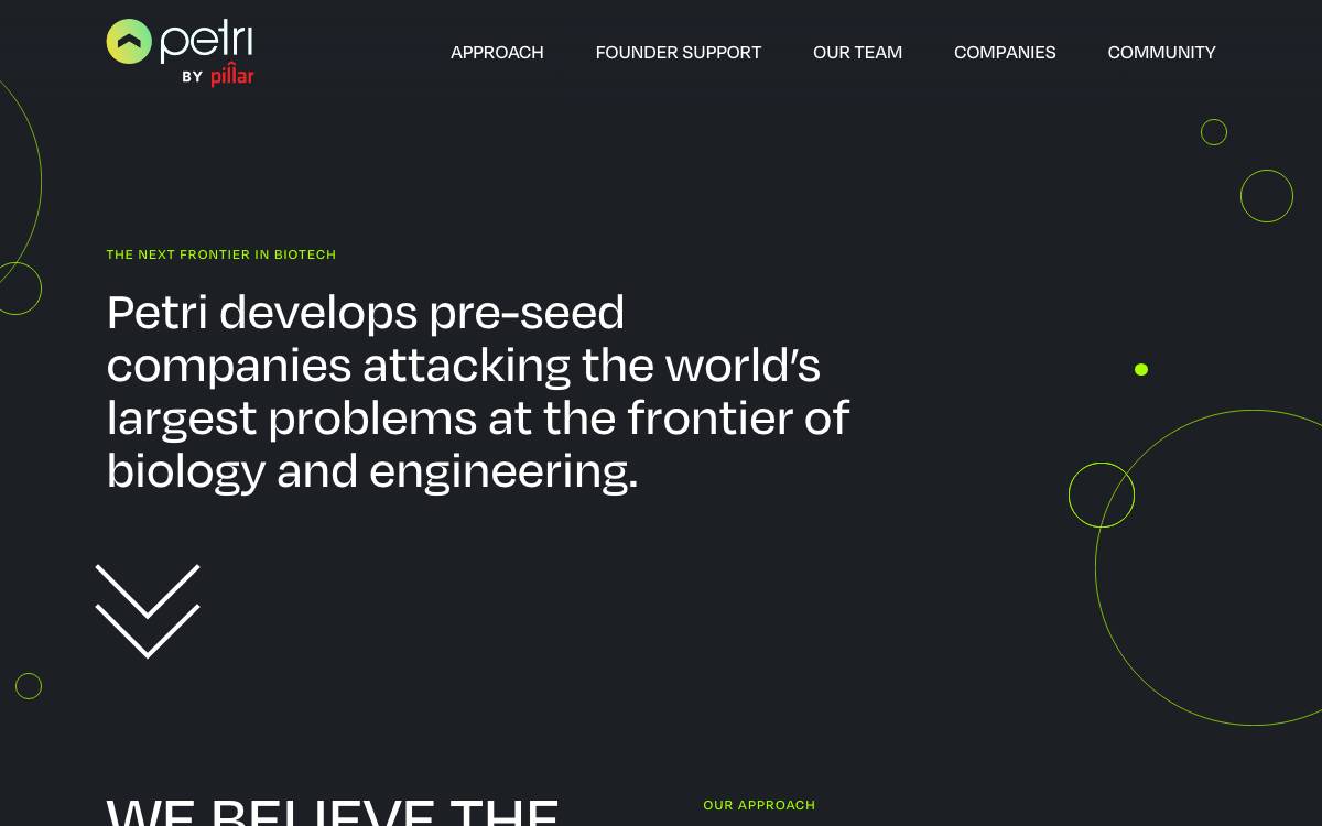 Petri website preview