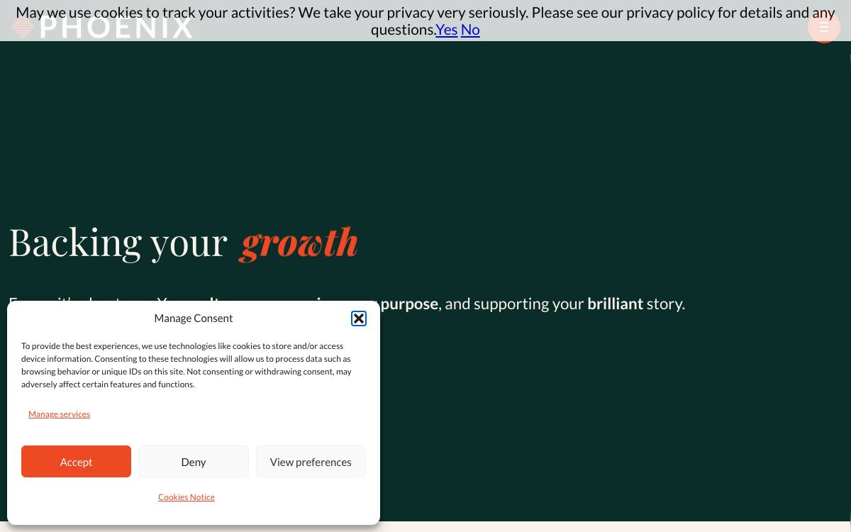 Phoenix Equity Partners website preview