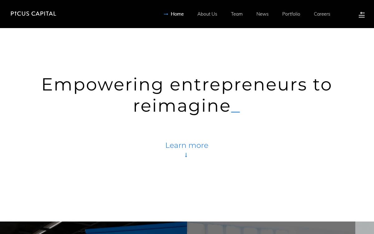 PICUS CAPITAL website preview