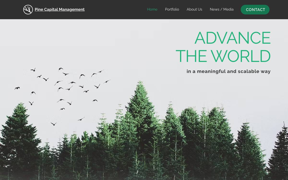 Pine Venture Partners website preview