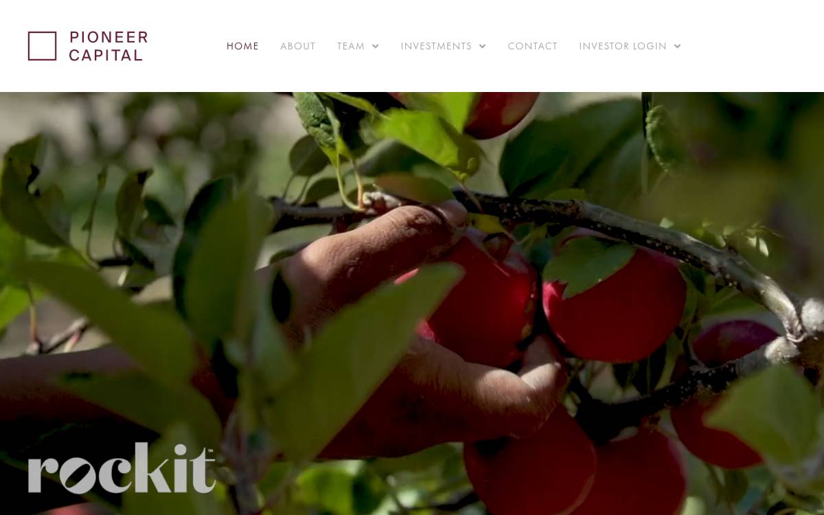 Pioneer Capital website preview