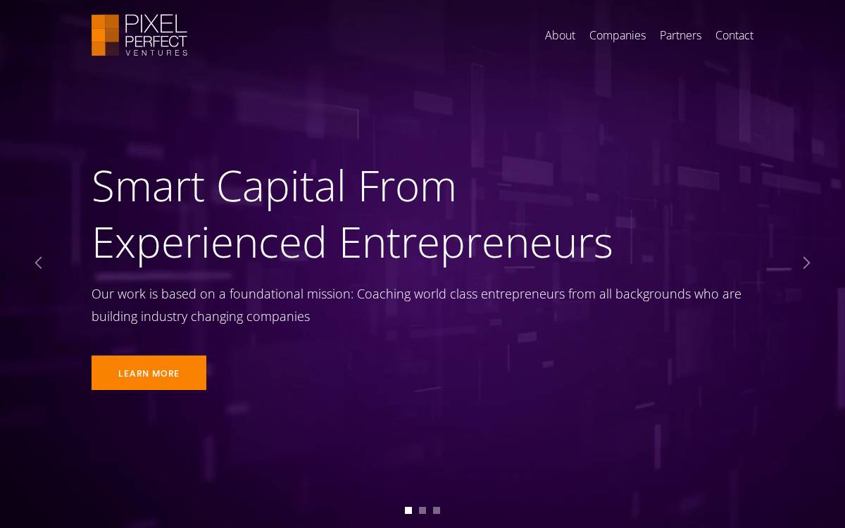 Pixel Perfect Ventures website preview